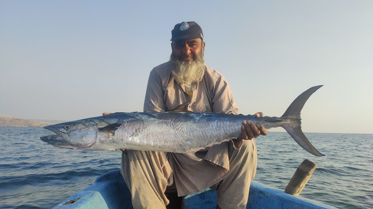 King Fish Fishing | Fishing and hunting | Mubarak Village to Hayat 