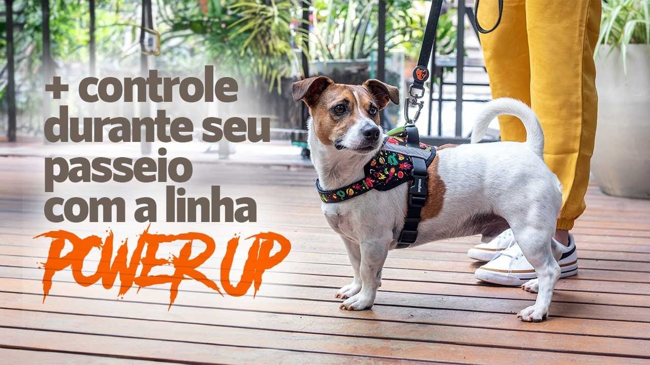 COMO USAR PEITORAL POWER UP DA ANYMOUS