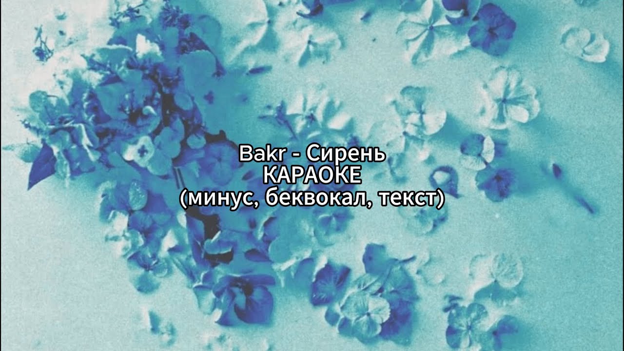 Bakr - Сирень | КАРАОКЕ | (минус, беквокал, текст)