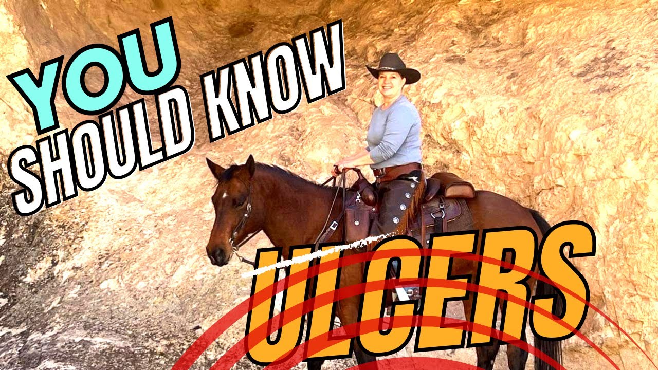 Ulcers In Horses, Symptoms & Treatment