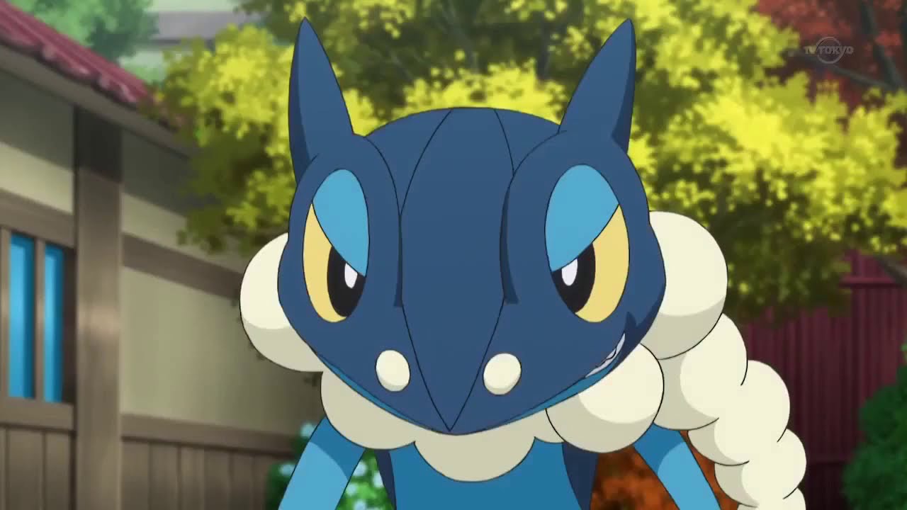 Pokemon XY Ep 75- Frogadier~Gekogashira vs Treecko~Kimori&rarr;Grovyle~Juptile