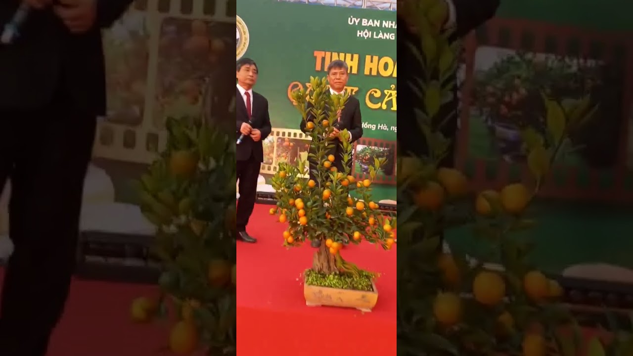 8 tháng 2, 2026