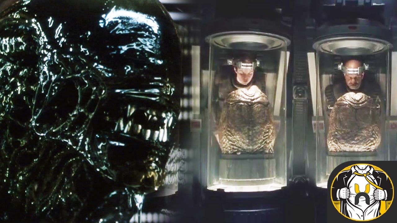 Cloned Xenomorphs (USM Auriga) - Explained