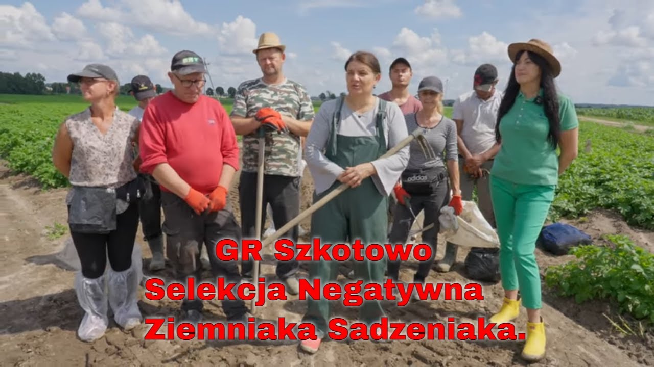 🌾 Selekcja Negatywna w Gospodarstwie Rolnym Szkotowo 🚜 | Rolnictwo w Praktyce.