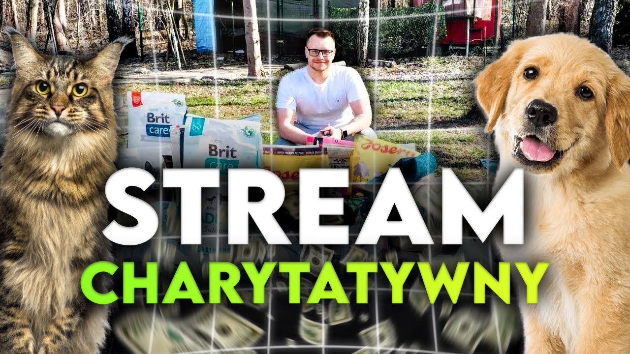 🔴LIVE CHARYTATYWNY - DZIEŃ #67😸🐶❤️ !!!🎮 #charity #cat #dog #animalshelter #stream #fyp #live