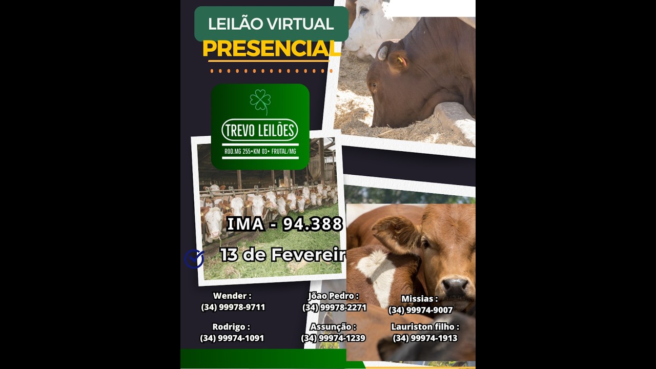 Leilão Presencial e Virtual  na Trevo Leilões, FRUTAL-MG - Dia 13/02/2026