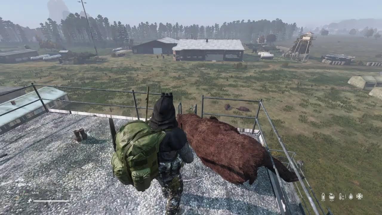 Time for a flagpole on DayZ PvE