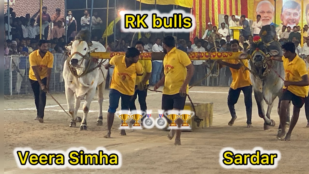 RK BULLS 💥విరసింహ 💥 సర్దార్ 💥