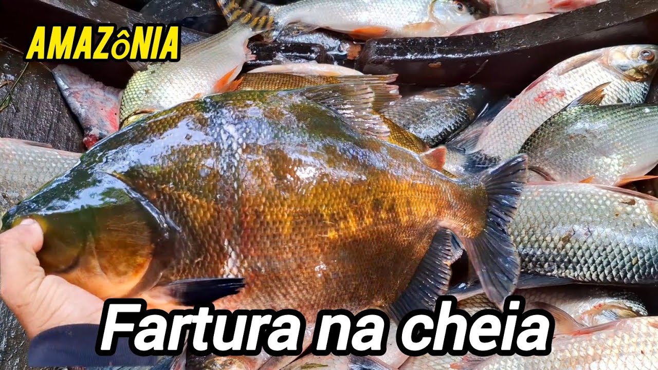 PESCARIA PUXEI A MALHADEIRA COM  TODO PEIXE QUE PEGOU, QUASE AGENTE SE ALAGA DE TANTO PEIXE.