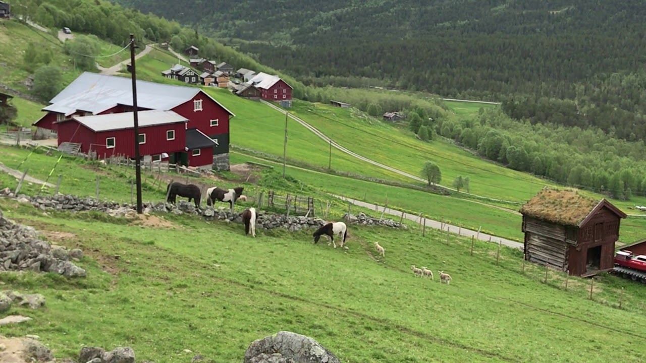 Ferie i Vats, Hallingdal 11/6-18/6-2020