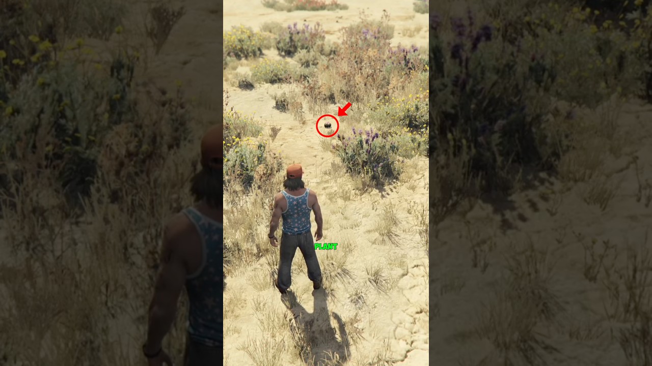 3 Hidden Plants Location in GTA 5! #gta5 #gta #gameplay #ps5