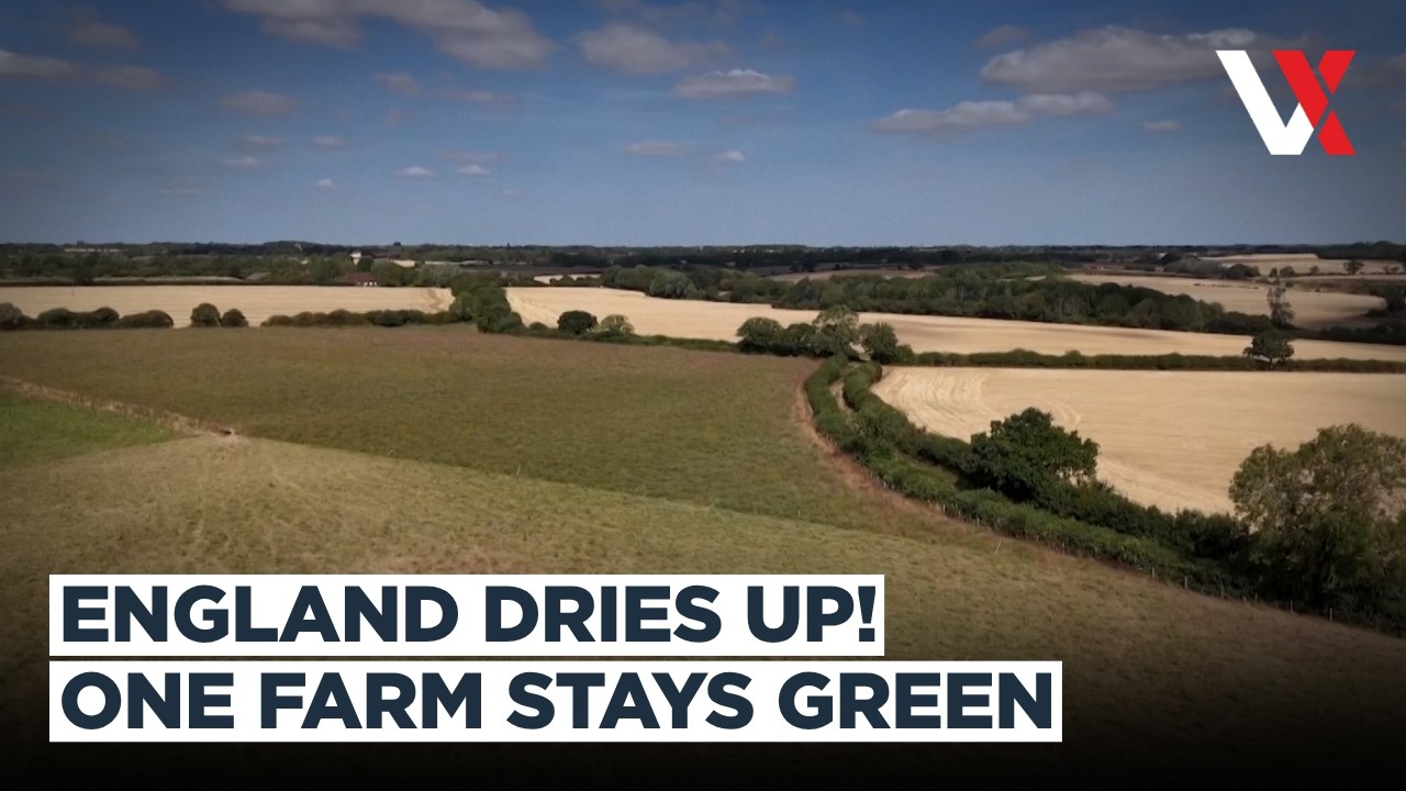 Britain&rsquo;s Drought Crisis | How One Farm Stays Green After Months Without Rain | VERTEX