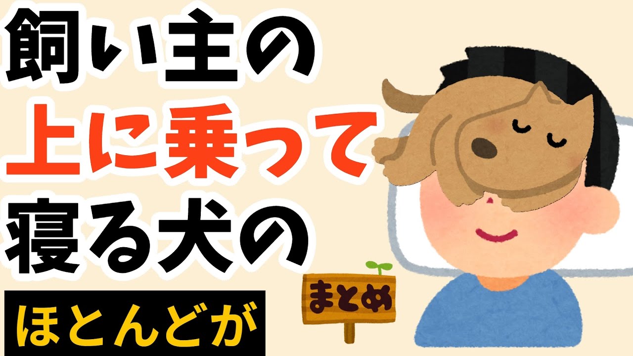 9割が知らない犬の雑学 まとめ16