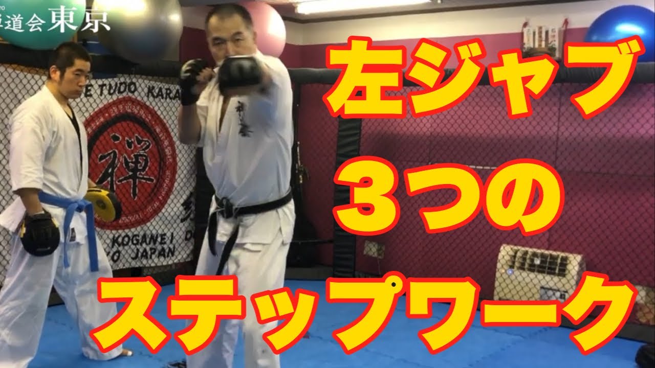 【勝つための打撃#2】左ジャブの打ち方、３つのステップワーク 空手道禅道会追い突き MMA キックボクシング パンチ