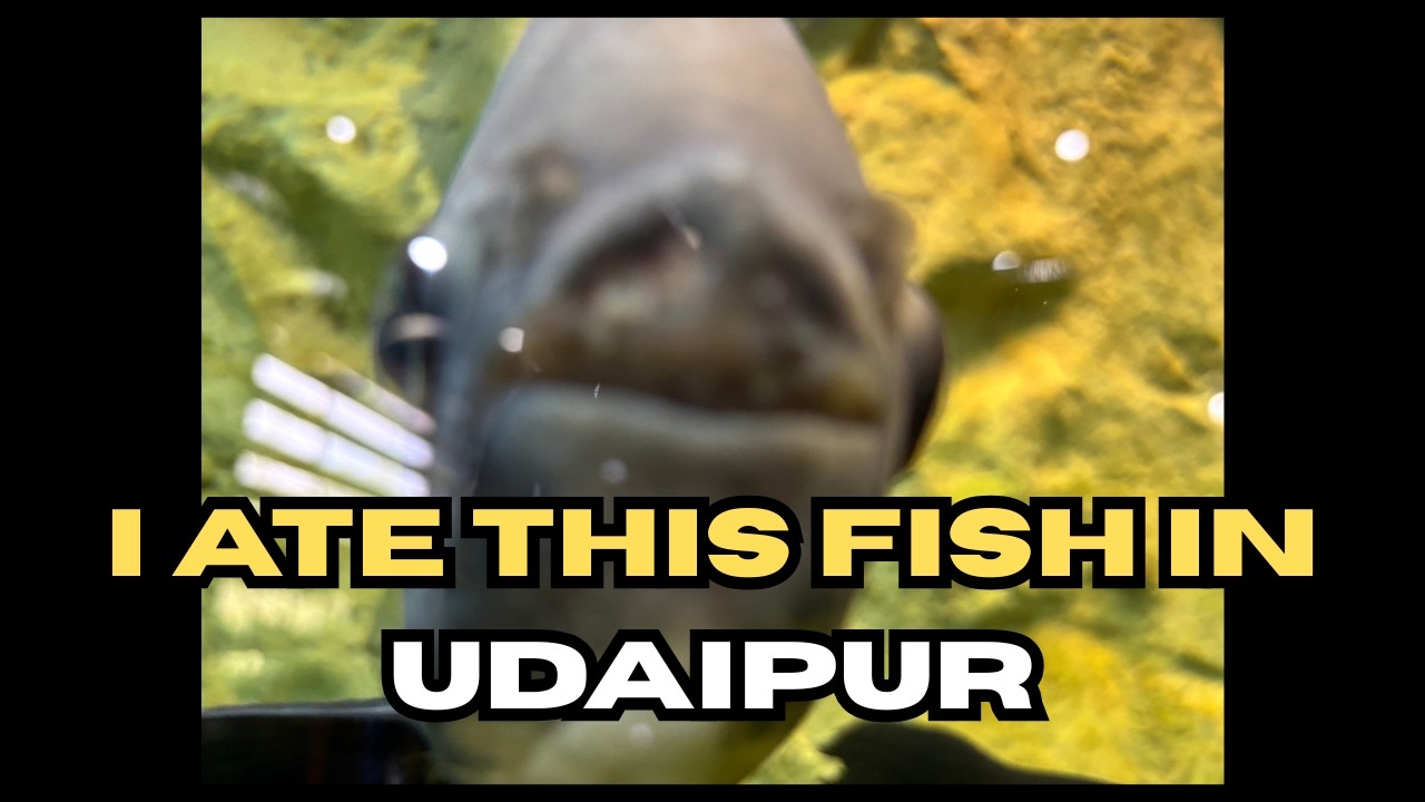 UDAIPUR WATER REVIEW 🐟 ft. feet pics and drone view