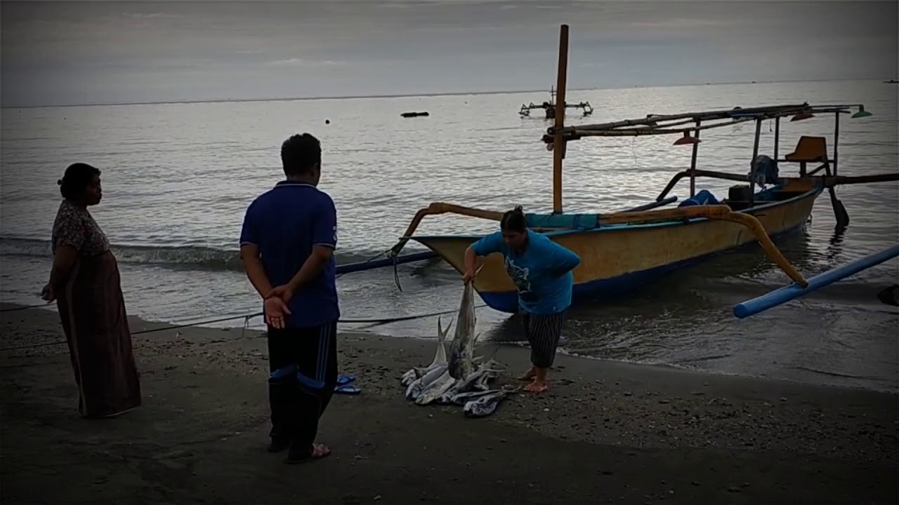 PANEN IKAN MAHI MAHI(TOMPEK) #THEDIXBALI, #THEDIXPANCING