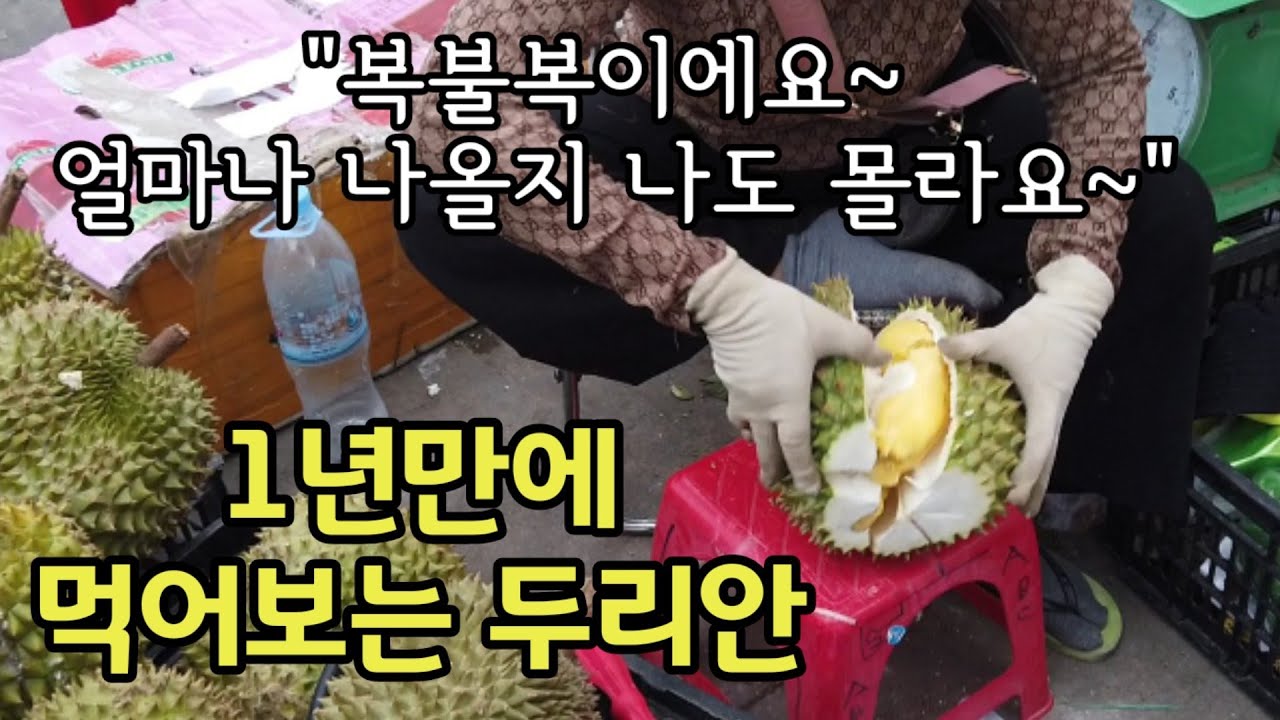[캄보디아] 비싸서 1년만에 먹어보는 두리안~/ 