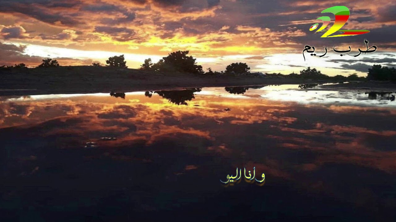 ريشة الفن ديمي منت اب dimi mint abba