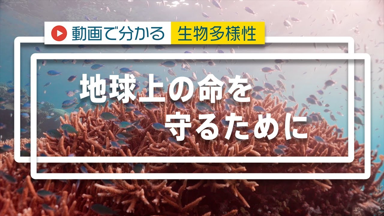 地球上の命を守るために