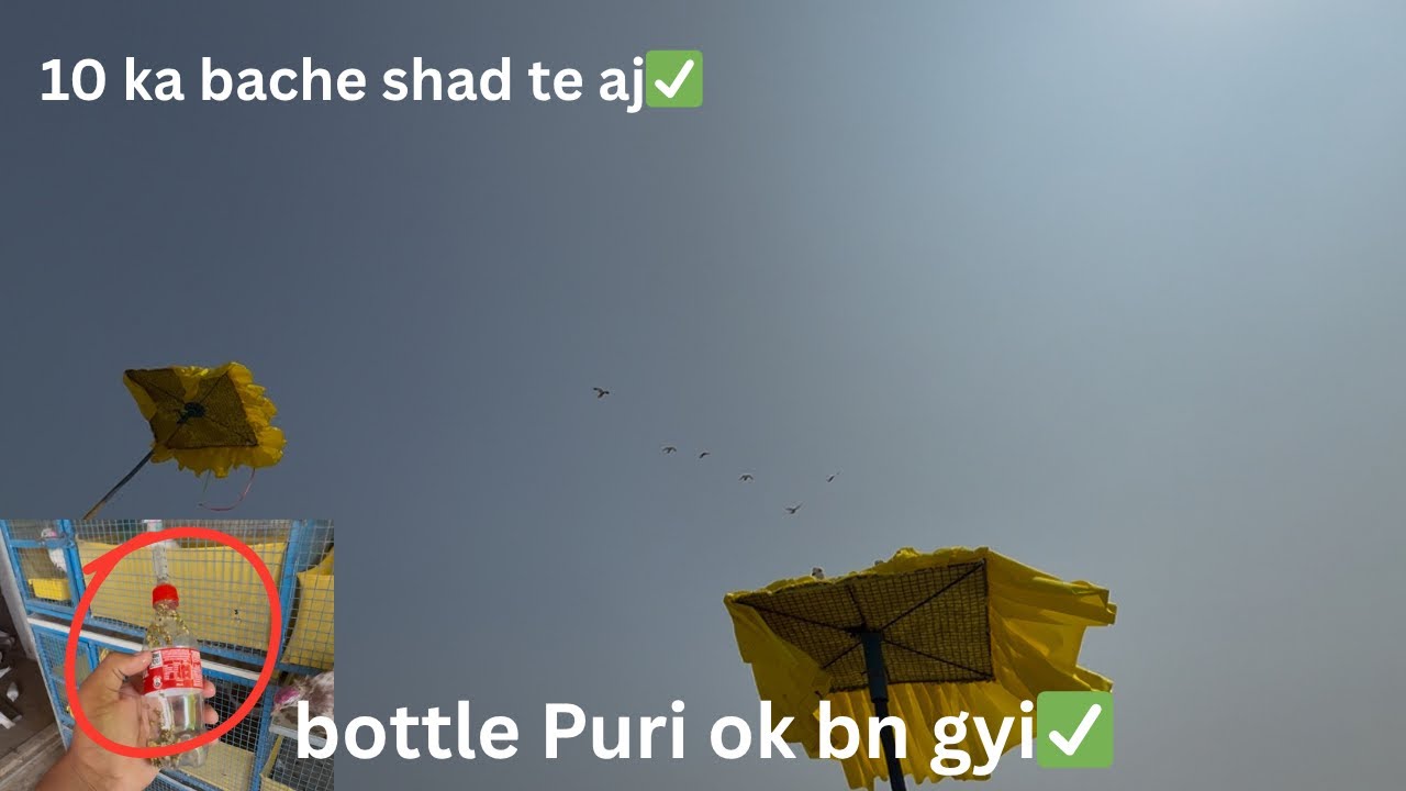 ਲਾਲ਼ ਬਗਲ ਆਲੀ ਵੀ ਸਿੱਧਾ ਆ ਗਈ ਘਰ 😍✅// ਬੋਤਲ ਚੋਗੇ ਲਈ ਬਣ ਗਈ ਓਕੇ ਪੂਰੀ ✅