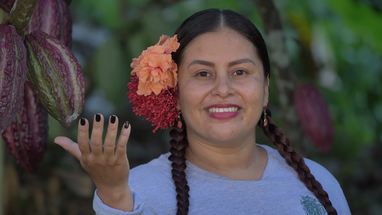 Musical -  trova plan de fertilización