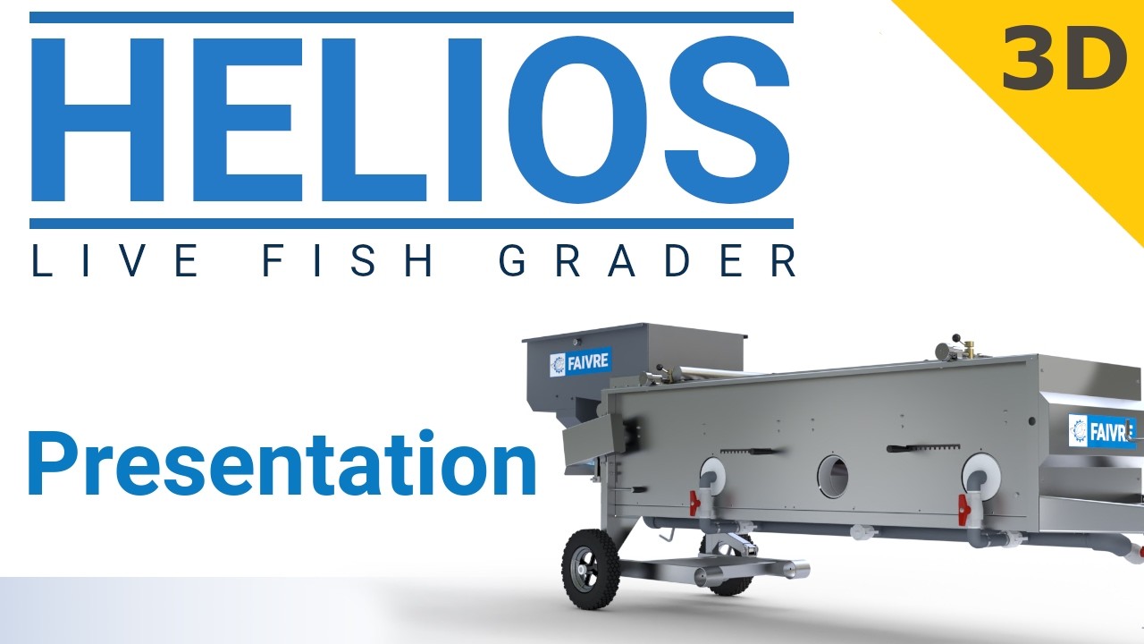 Helios 3D - Trieur à poissons automatique / Automatic fish grader - faivre.fr