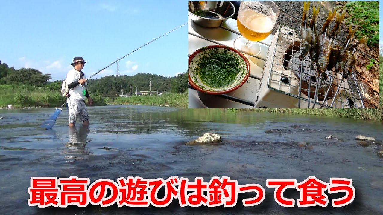 オイカワ釣って塩焼きして食う