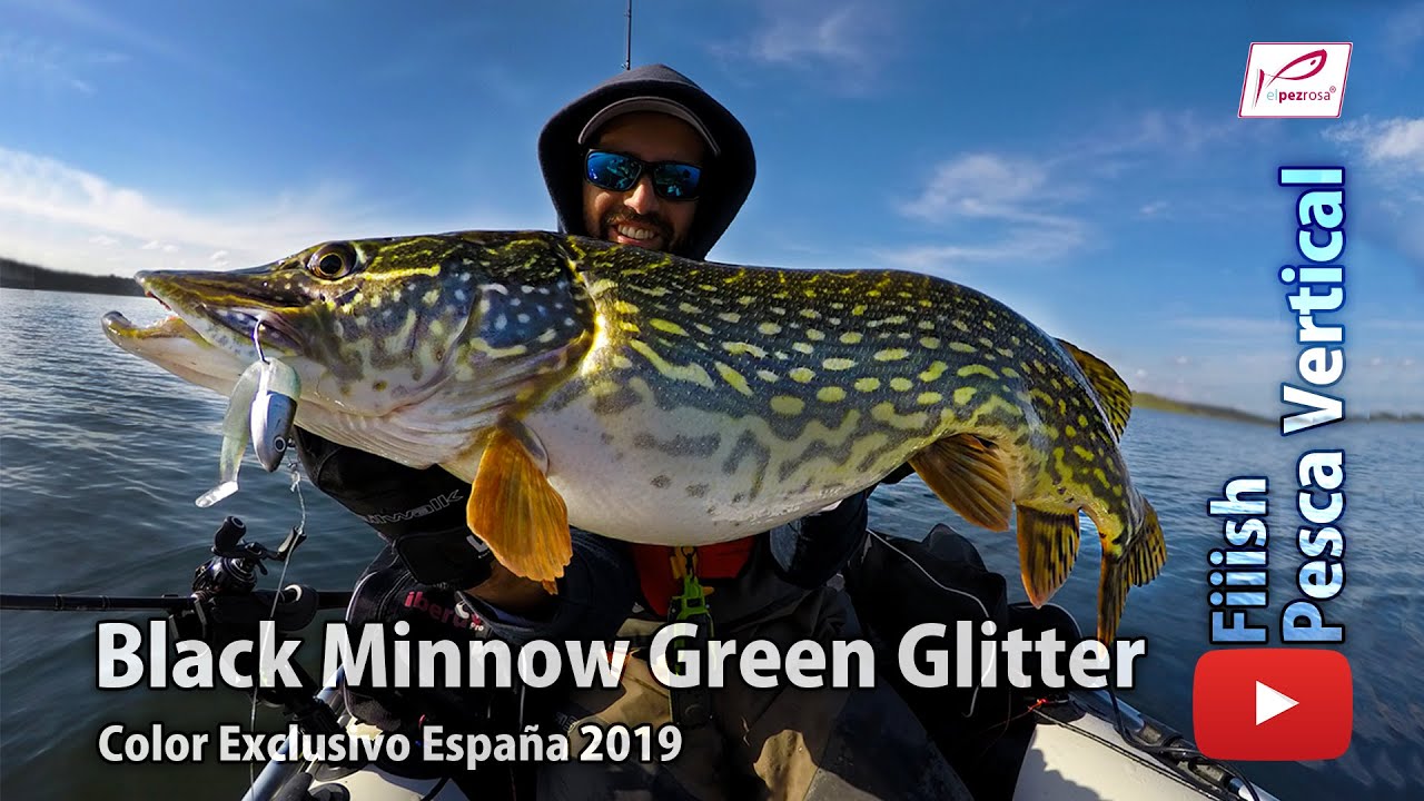 Black Minnow color España 2019: Estreno en Embalse de Orellana