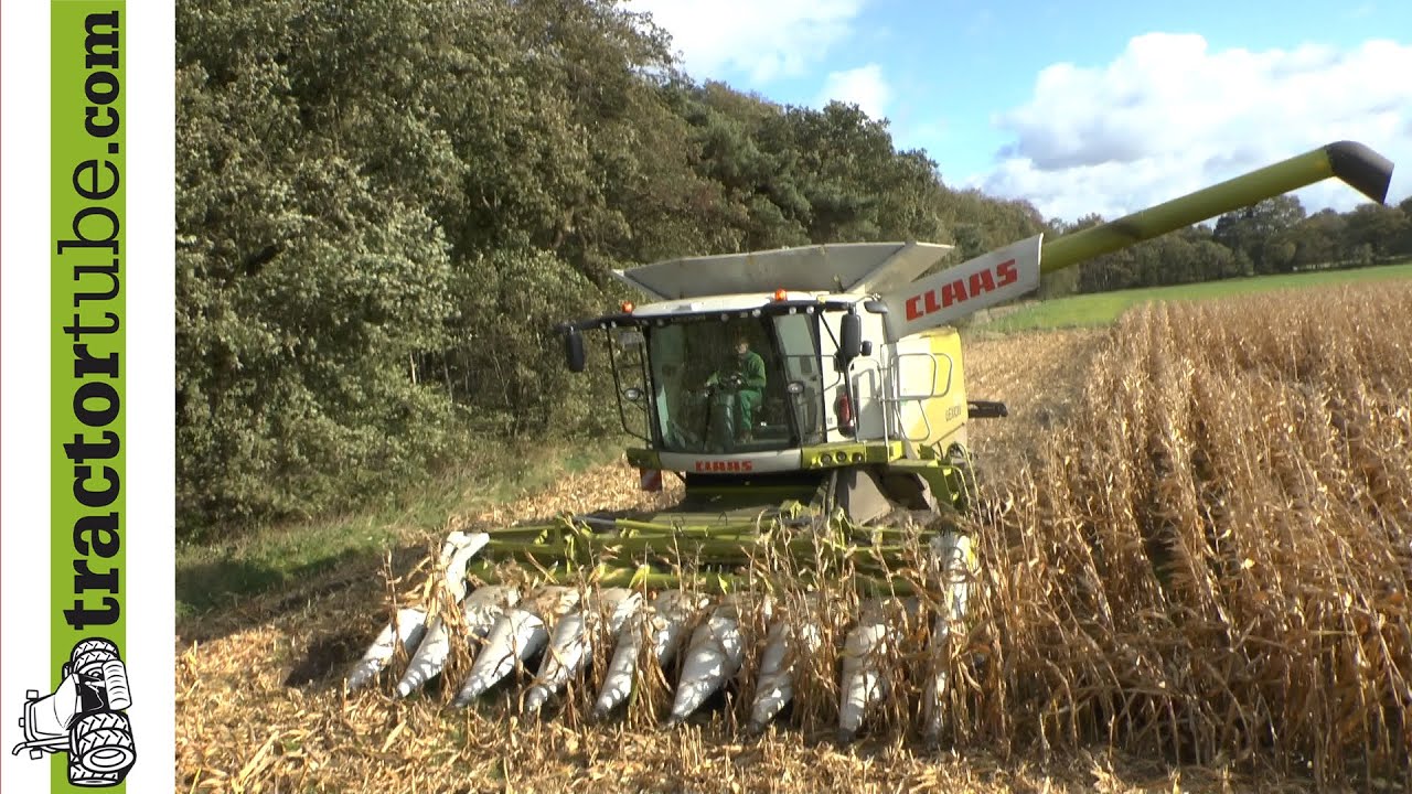 Mais dreschen auf feuchtem Boden mit Claas Lexion 670 TT - Maize harvest - Corn harvest 2013
