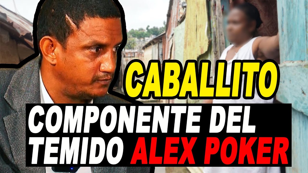 CABALLITO: COMPONENTE DEL TEMID0 