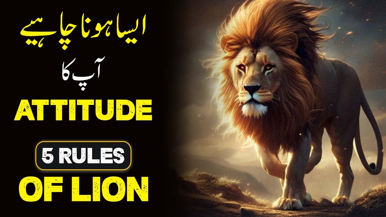 LION Attitude 5 Rules of Lion urdu hindi | LION Mentality 5 Life Lessons from the Life of Lion