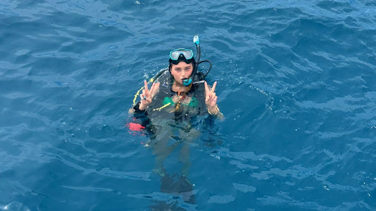 diving with sharks across the world