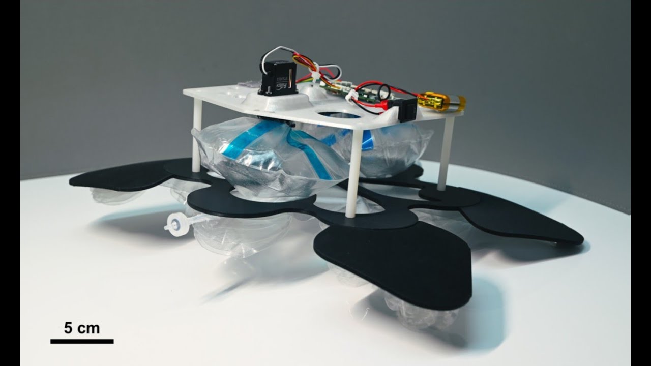 A Decapod Robot with Soft Transmissions