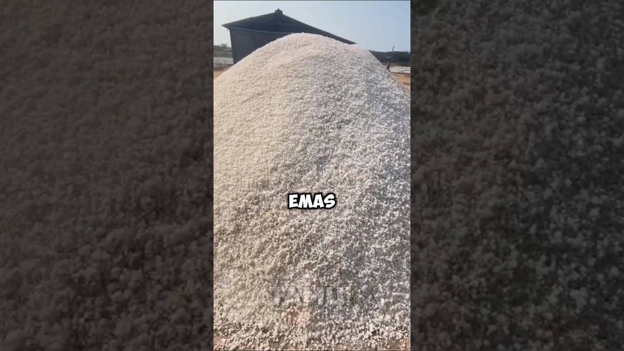 Garam Pernah Lebih Mahal dari Emas?! 😳