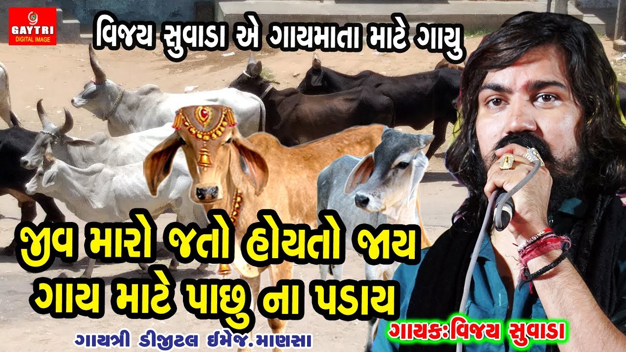 Gay Mari Mata | Vijay Suvada | Hit Gujarati Songs | Gayatri Digital