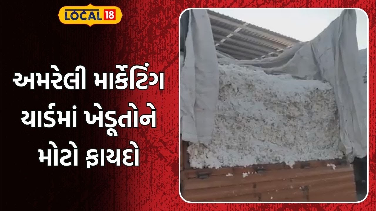 Amreli News | અમરેલી માર્કેટિંગ યાર્ડમાં ખેડૂતોને મોટો ફાયદો | Market Yard | Farmers | Gujarat