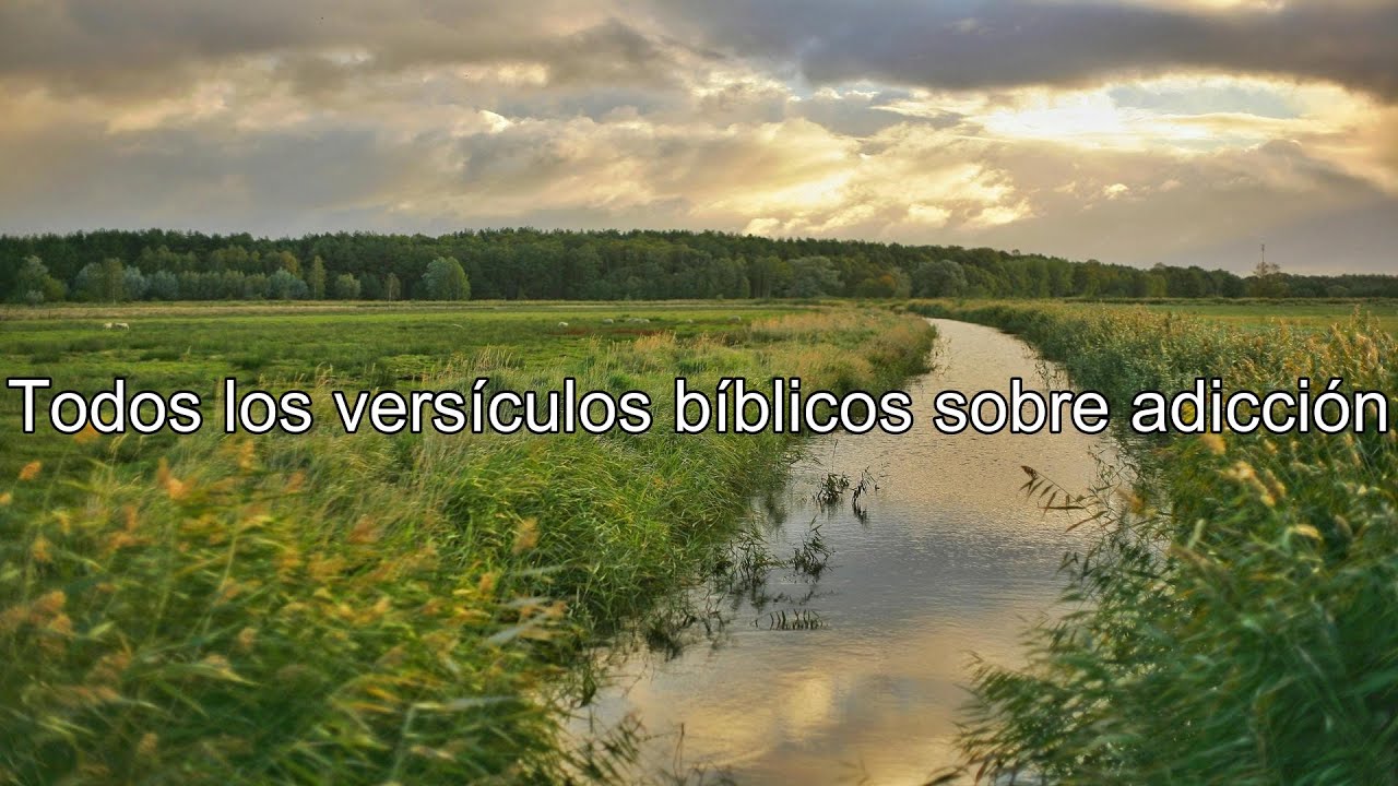 Qué dice la Biblia acerca de adicción - Todos los versículos bíblicos sobre adicción