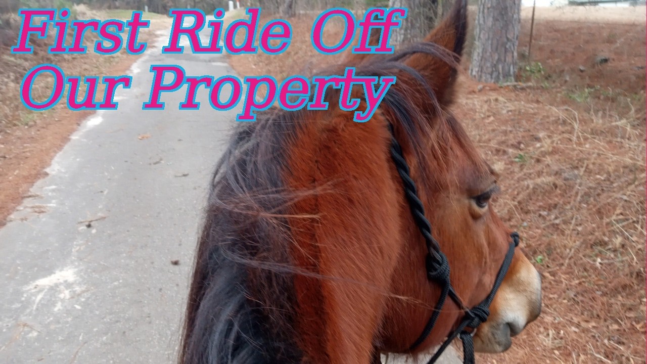 My Horse's FIRST Ride off Our Property...
