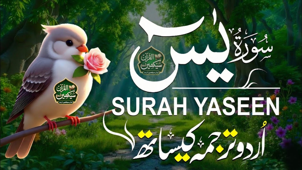 Surah Yasin for Every Difficult Task | Har Mushkil Ka Hal | Urdu & Hindi Translation - سورة یس