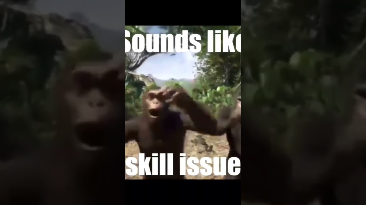 #memes #meme #skillissue #skill. Skill issssuueeeeee!