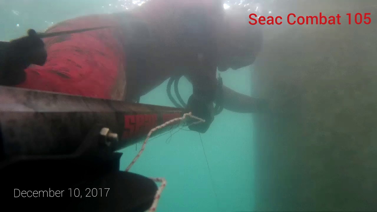 Seac Combat 105 Hunting Queen Fish 9.3kg #spearfishingphilippines #seac #seacapnea #seacscuba