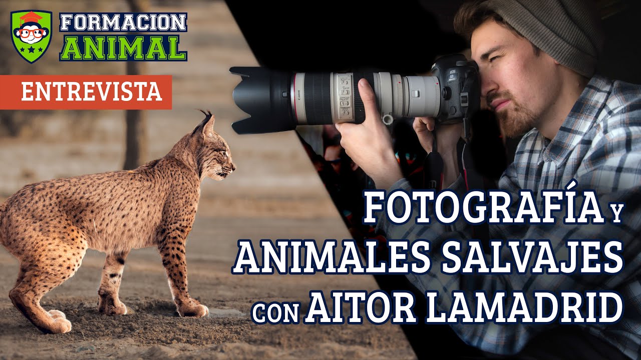 Fotografía de fauna salvaje con Aitor Lamadrid | ENTREVISTA