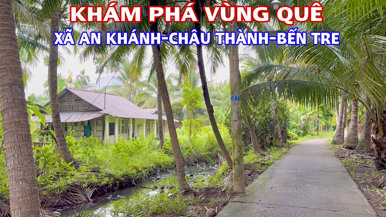 Khám Phá Vùng Quê Chuyên Trồng Cây Ăn Trái Của Xã An Khánh, Huyện Châu Thành Tỉnh Bến Tre