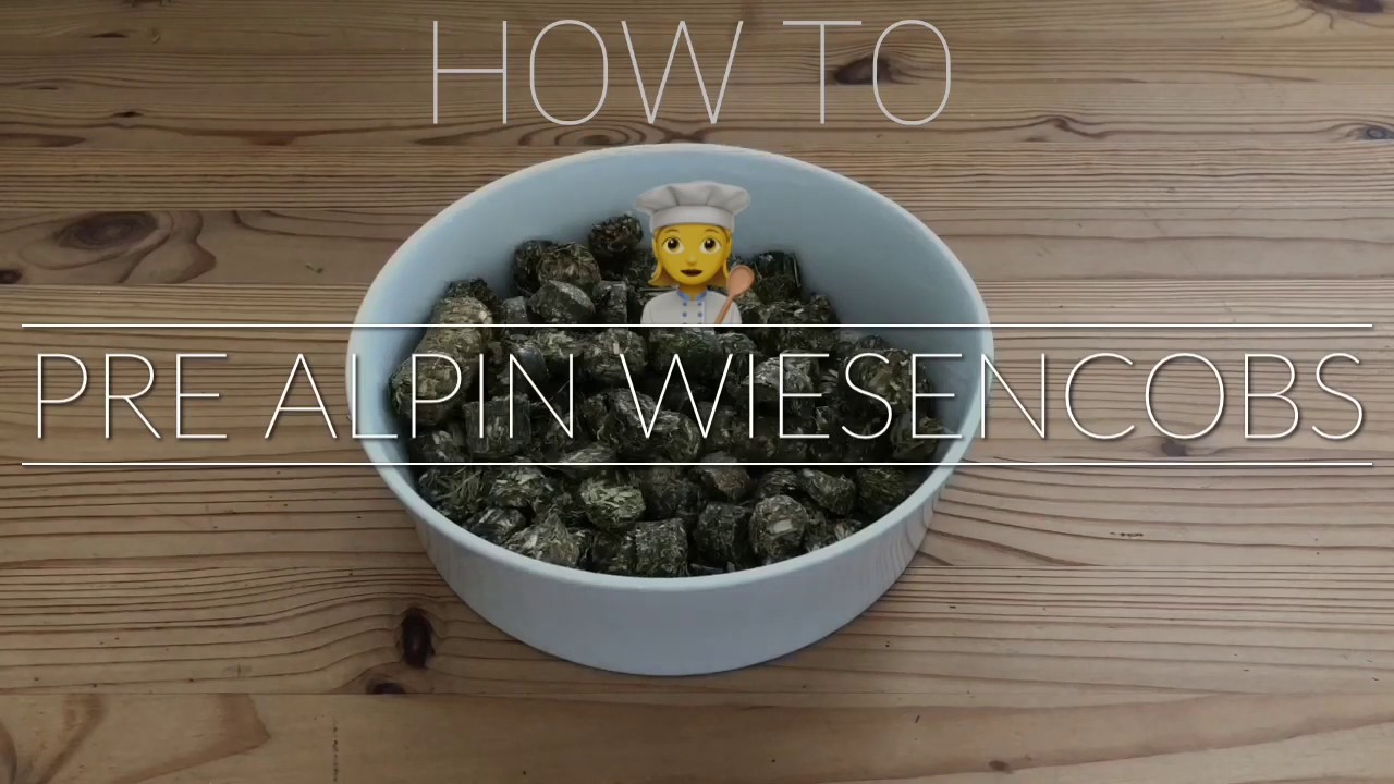 Heucobs (bzw. Wiesencobs) richtig einweichen - Wie geht das?