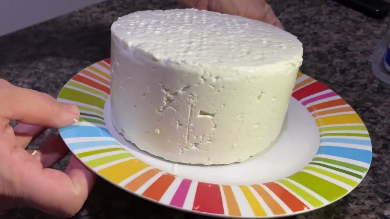 Receita de queijo fresco de búfala 🐃