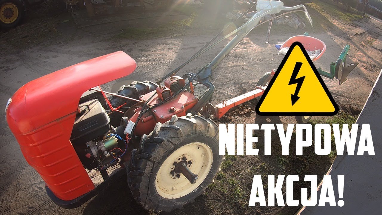 Nietypowa akcja Dzikiem /#16