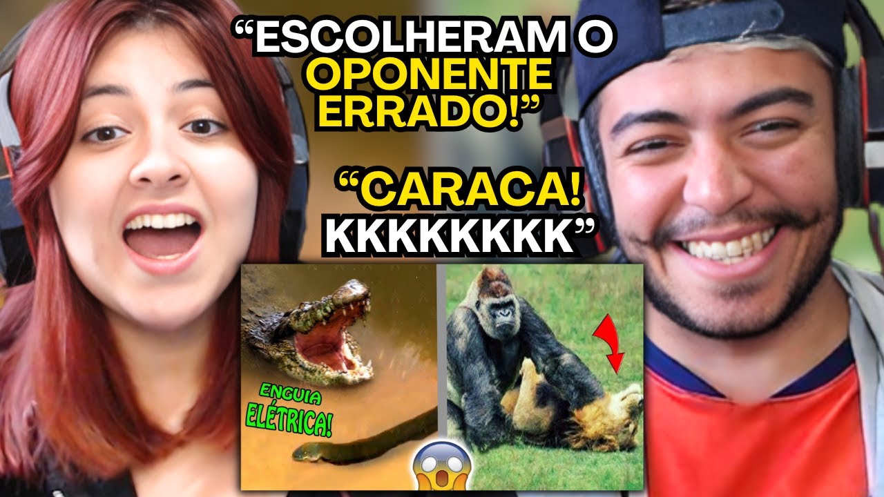 🔴 Quand0 0s An1mais Esc0lh3m o Oponente Err4d0! do FALA DE TUDO | REACT EM CASAL