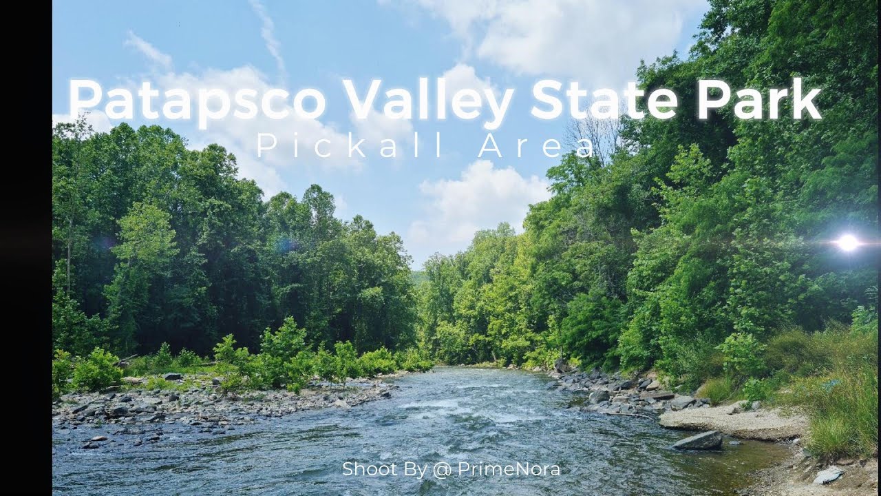 (49) Patapsco Valley State Park-Pickall Area, MD (June, 2020)