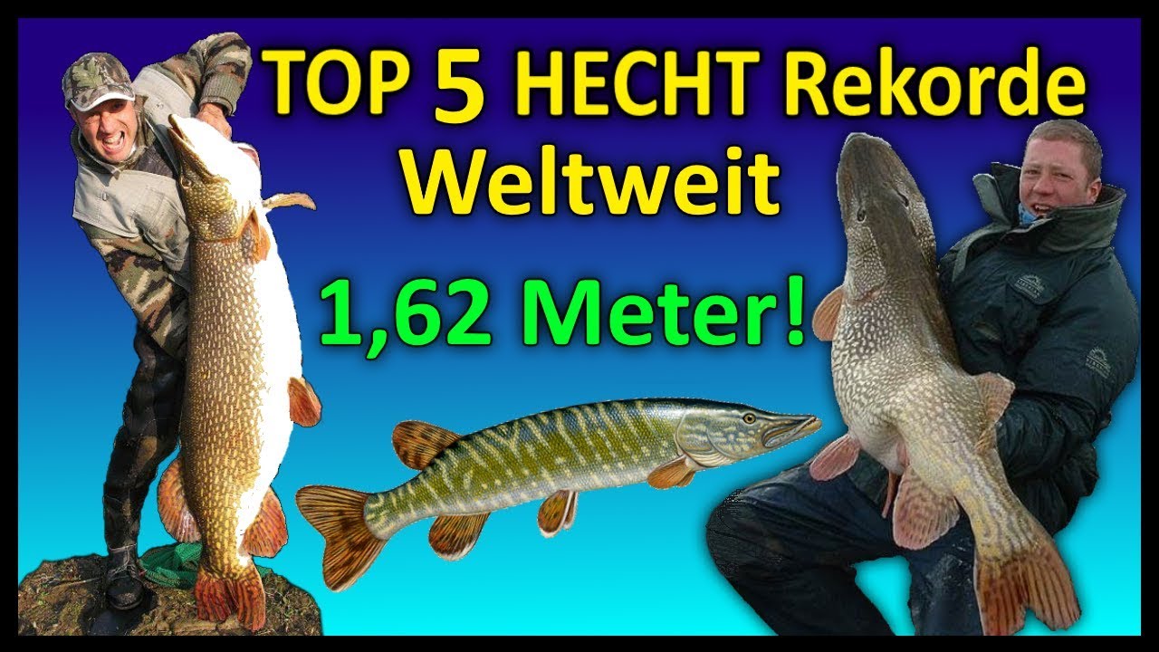 Top 5 Rekord HECHTE WELTWEIT | 1,62 Meter Hecht!