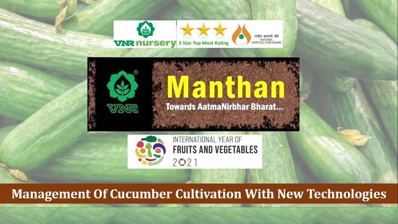 VNR Manthan - Management of Cucumber Cultivation with New Technologies